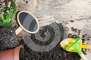 Repotting plants tools and a blank banner