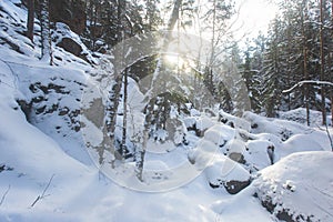 Repovesi National Park, aerial winter view, landscape view of a finnish park, southern Finland, Kouvola and Mantyharju, region of