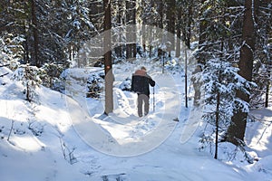 Repovesi National Park, aerial winter view, landscape view of a finnish park, southern Finland, Kouvola and Mantyharju, region of