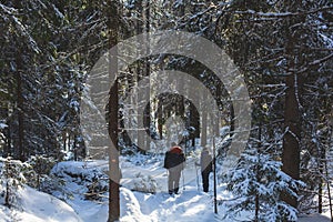 Repovesi National Park, aerial winter view, landscape view of a finnish park, southern Finland, Kouvola and Mantyharju, region of