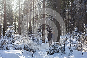 Repovesi National Park, aerial winter view, landscape view of a finnish park, southern Finland, Kouvola and Mantyharju, region of