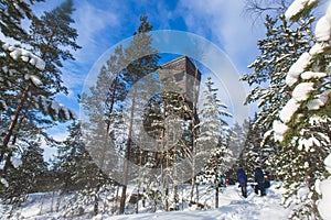 Repovesi National Park, aerial winter view, landscape view of a finnish park, southern Finland, Kouvola and Mantyharju, region of