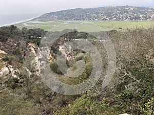 Reprieve from the heat at Torrey Pines State Natural Reserve