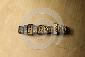 REPRODUCED - close-up of grungy vintage typeset word on metal backdrop photo