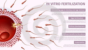 Reproductive Medicine. In Vitro Fertilization