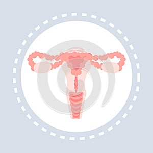 Reproductive system anatomy female uterus, cervix, ovary, fallopian tube icon healthcare medical service logo medicine