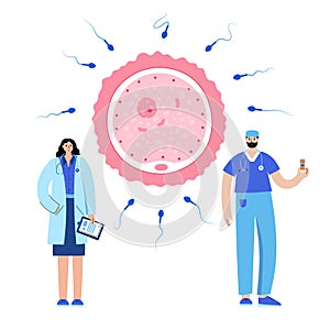 Reproductive system concept