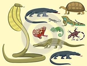 Reptile and amphibian colorful fauna vector illustration reptiloid predator reptiles animals.