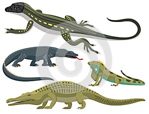 Reptile and amphibian colorful fauna vector illustration reptiloid predator reptiles animals.