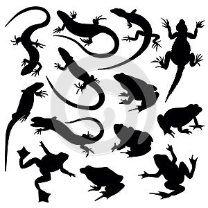 Reptile Animal Silhouette Set Black