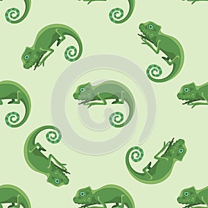 Reptile chameleon amphibian seamless pattern colorful fauna vector illustration reptiloid predator reptiles animals.