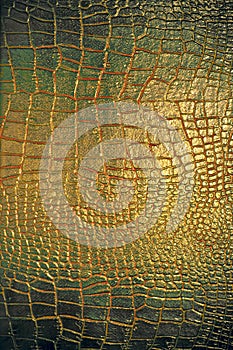 Reptile leather texture