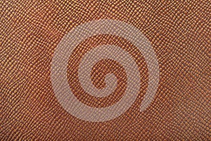 Reptile leather texture background