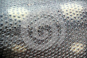 Reptile skin