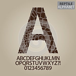 Reptile Skin Alphabet and Numbers Vector