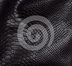 Reptile skin background