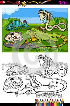 Reptiles and amphibians coloring book