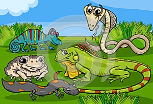 Reptiles and amphibians group cartoon photo