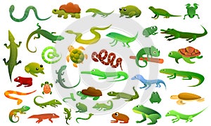 Reptiles amphibians icons set, cartoon style
