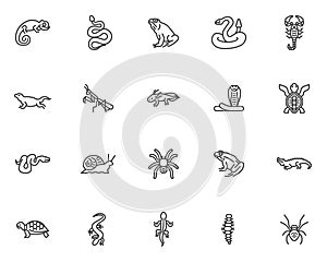 Reptiles and amphibians line icons set