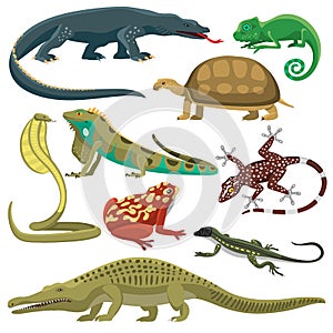 Reptiles animals vector set.