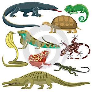 Reptiles animals vector set. photo