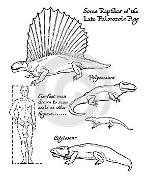 Reptiles of the late Paleozoic age, vintage illustration photo