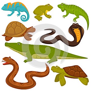 Reptiles and reptilian animals turtle, crocodile or chameleon and lizard snake flat vector icons