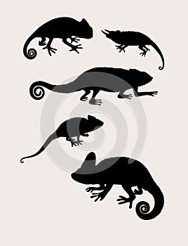 Reptilian Silhouettes