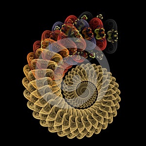 Reptilian spiral photo