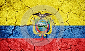 Republic of Ecuador flag