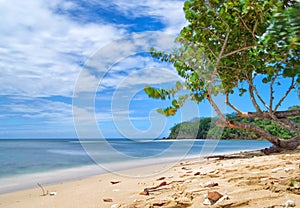 Republic of Trinidad and Tobago - Tobago island - Mt. Irvine bay - Tropical beach of Caribbean sea