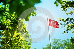 De bandera turco bandera ondulación en viento entre árboles 