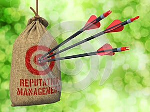 Reputation Management - Arrows Hit Target. photo