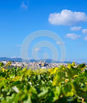 Requena in Valencia province a wine region of Spain