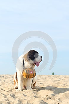 Rescue dog with barrel