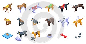 Rescue dog icons set isometric vector. Crew brave