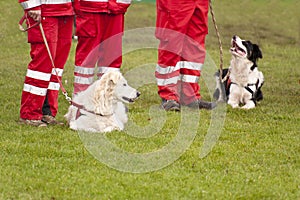 Rescue Dog Squadron photo