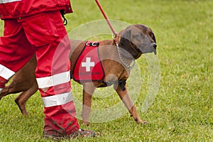 Rescue Dog Squadron