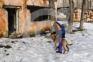 Rescuer with dog searching at ruined building