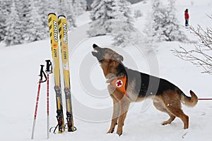 Rescuer from the Mountain Rescue Service at Bulgarian Red Cross