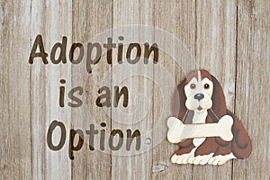 Rescuing a dog with adoption