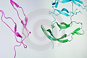 Research in the proteomics.