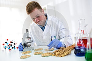 Research quality of wheat, expert working at professional laboratory