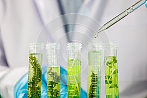 Research scientist team working  research and Biotech science Photobioreactor in laboratory of algae fuel, biofuel sustainable photo