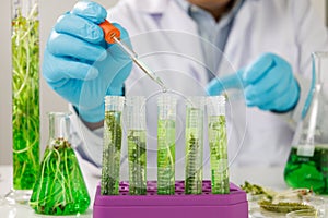 Research scientist team working  research and Biotech science Photobioreactor in laboratory of algae fuel, biofuel sustainable photo