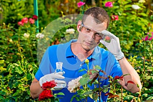 Researcher a biologist with a test tube in a greenhouse takes