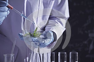 Researcher with glass laboratory chemical test tubes with liquid for analytical , medical, pharmaceutical and scientific research