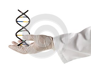 Researcher with glove holding DNA molecule model