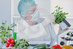 Researcher with GMO plants